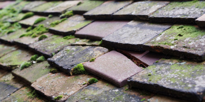 Kneesworth roof repair costs